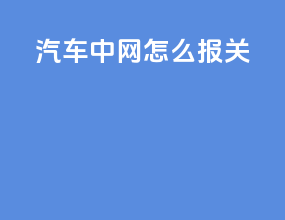 汽车中网怎么报关