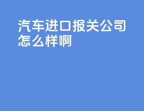 汽车进口报关公司怎么样啊
