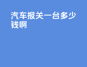 汽车报关一台多少钱啊