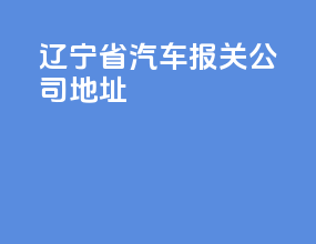 辽宁省汽车报关公司地址