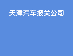 天津汽车报关公司