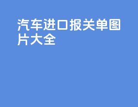 汽车进口报关单图片大全