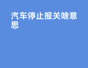 汽车停止报关啥意思