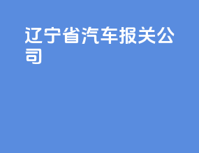 辽宁省汽车报关公司
