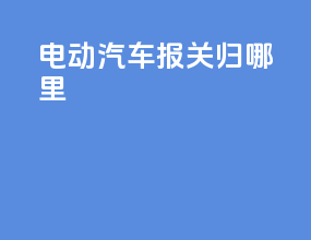 电动汽车报关归哪里