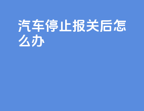 汽车停止报关后怎么办