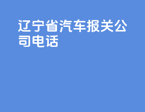 辽宁省汽车报关公司电话