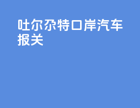 吐尔尕特口岸汽车报关