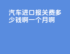 汽车进口报关费多少钱啊一个月啊