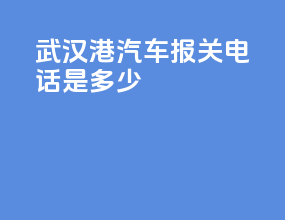 武汉港汽车报关电话是多少