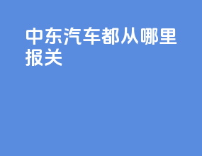 中东汽车都从哪里报关