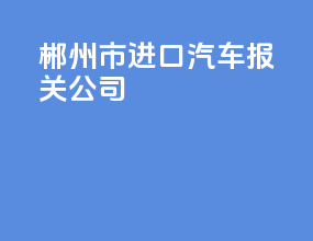 郴州市进口汽车报关公司