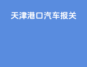 天津港口汽车报关