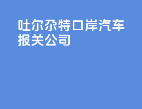 吐尔尕特口岸汽车报关公司