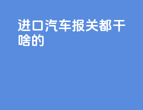 进口汽车报关都干啥的