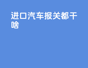 进口汽车报关都干啥