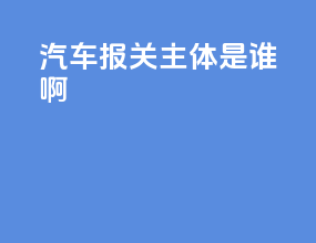 汽车报关主体是谁啊