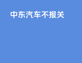 中东汽车不报关