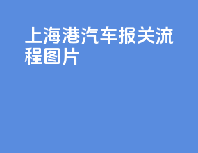上海港汽车报关流程图片