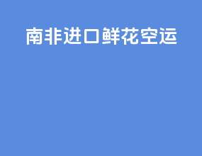 南非进口鲜花空运