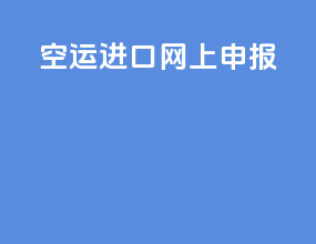 空运进口网上申报