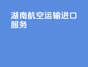 湖南航空运输进口服务