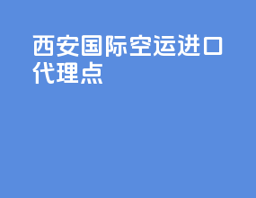 西安国际空运进口代理点