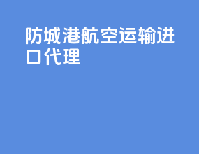 防城港航空运输进口代理