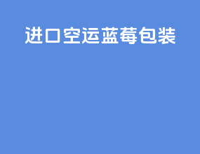 进口空运蓝莓包装