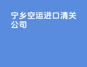 宁乡空运进口清关公司