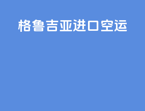 格鲁吉亚进口空运