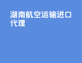 湖南航空运输进口代理