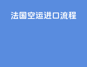法国空运进口流程