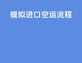 模拟进口空运流程