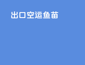 出口空运鱼苗