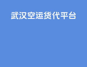 武汉空运货代平台