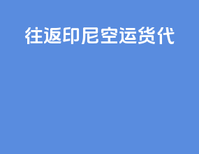 往返印尼空运货代