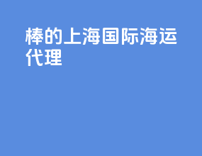 棒的上海国际海运代理