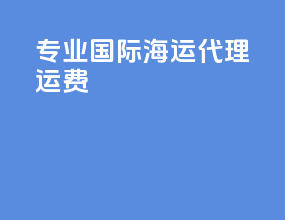 专业国际海运代理运费