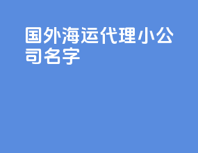 国外海运代理小公司名字