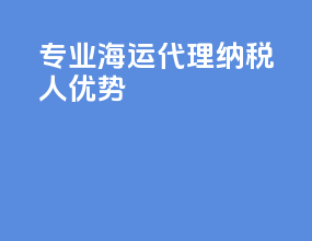 专业海运代理纳税人优势
