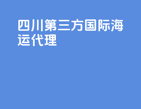 四川第三方国际海运代理