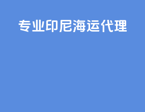 专业印尼海运代理