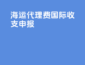 海运代理费国际收支申报