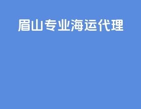 眉山专业海运代理