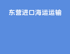 东营进口海运运输