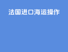 法国进口海运操作