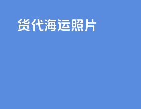货代海运招聘