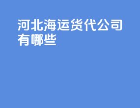 河北海运货代公司有哪些