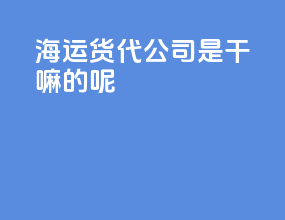 海运货代公司是干嘛的呢